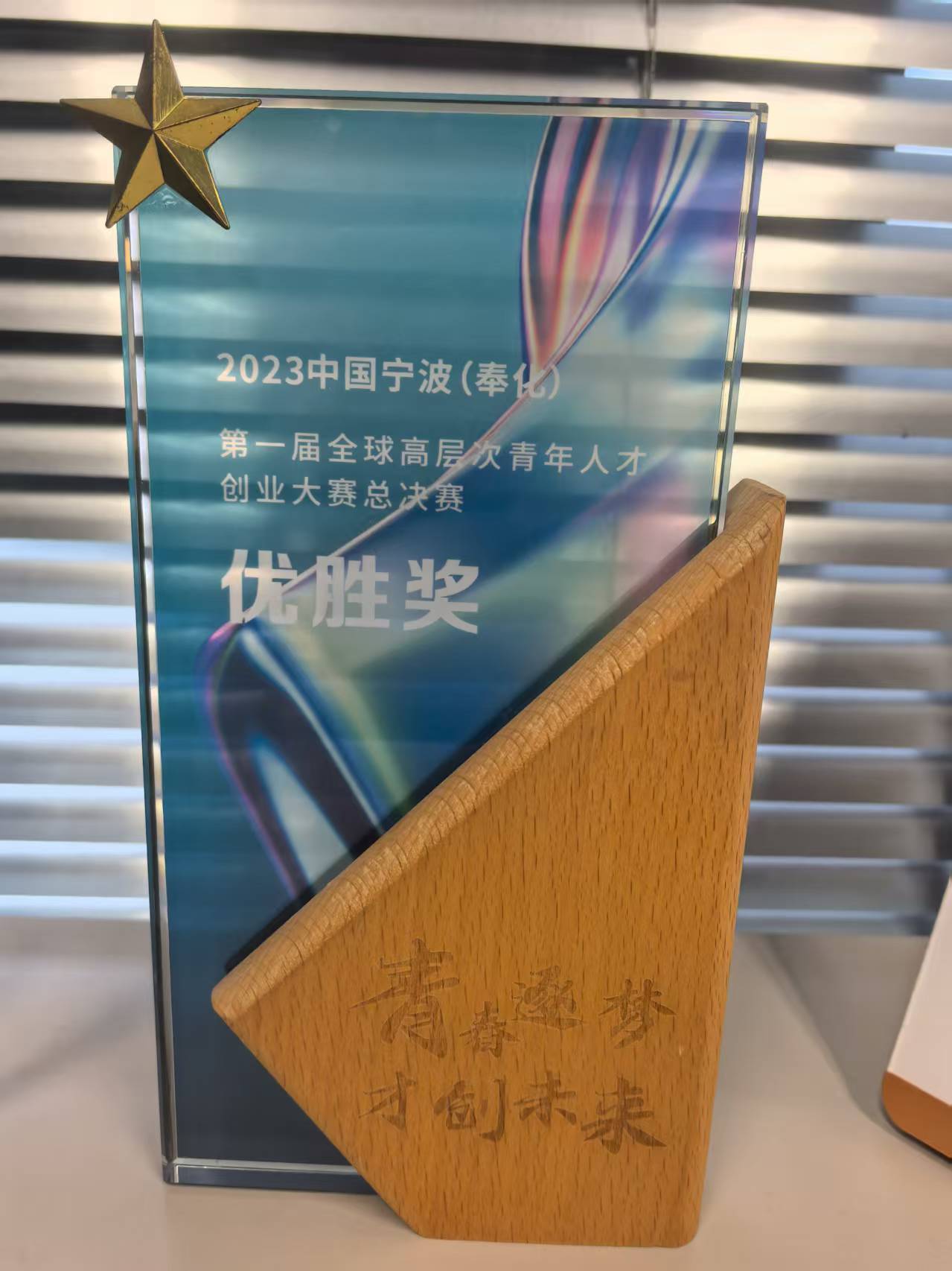 <span>2023年，荣获中国宁波（奉化）第一届全球高层次青年人才创业大赛优胜奖</span>